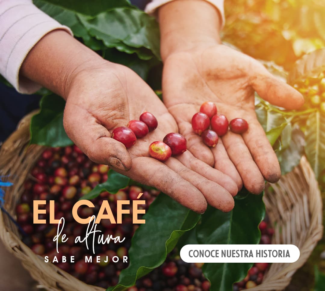 Historia del café en móvil